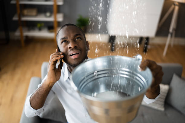 Best Water damage mitigation services  in Pierce City, MO