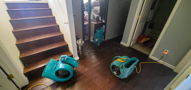 Best Carpet water damage restoration  in Pierce City, MO