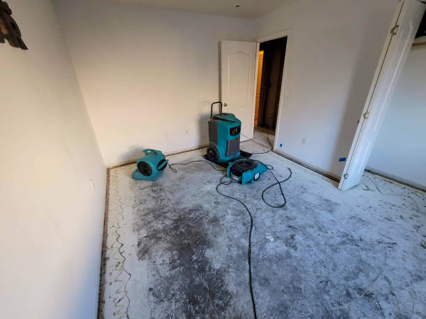 Best 24/7 water damage repair  in Pierce City, MO