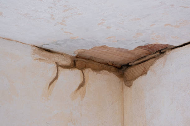 Best Basement water damage restoration  in Pierce City, MO
