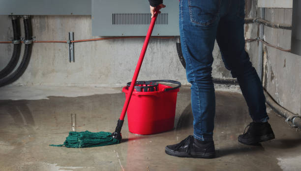 Best Basement water damage restoration  in Pierce City, MO