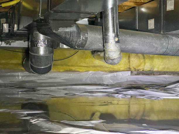 Best 24/7 water damage repair  in Pierce City, MO